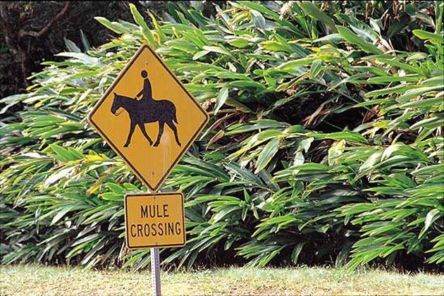 Molokai