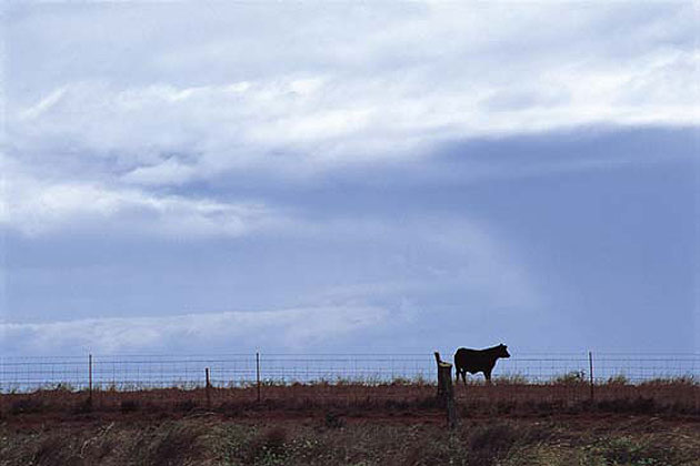 Molokai