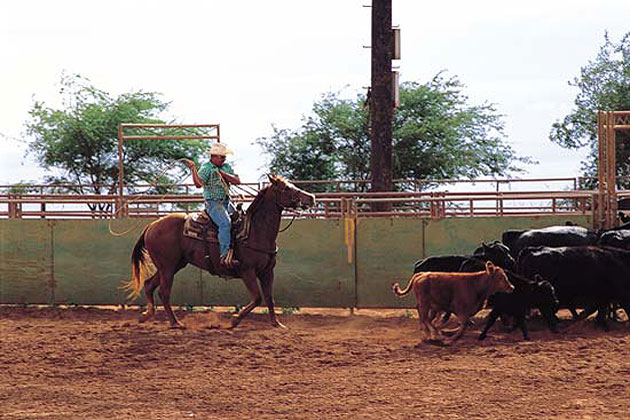 Molokai