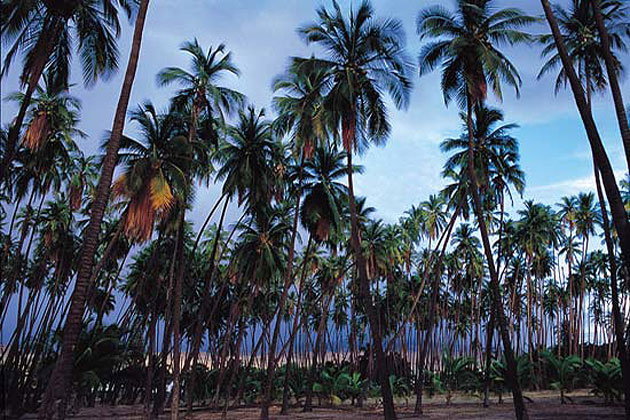 Molokai