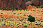 Monument Valley