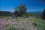 Mount Magazine State Park