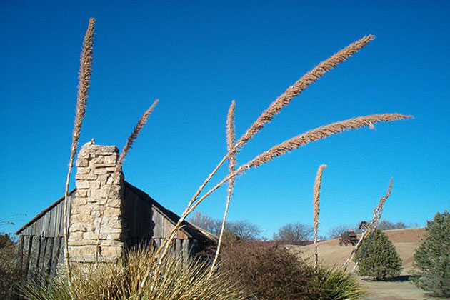 National Ranching Heritage Center
