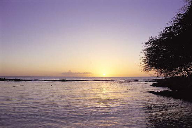 Oahu