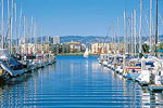 Sailboats in Harbor