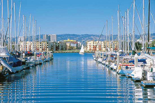 Sailboats in Harbor