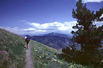 Skyline Trail