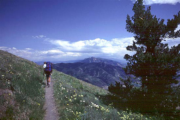 Skyline Trail