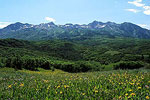 Snowbasin Ski Resort