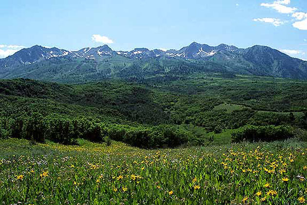 Snowbasin Ski Resort