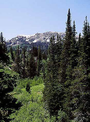 Ogden Canyon