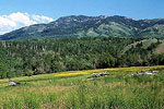 Ogden Canyon