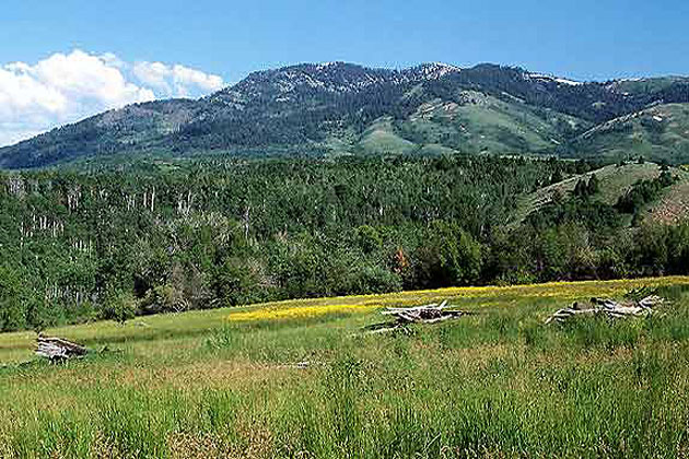 Ogden Canyon