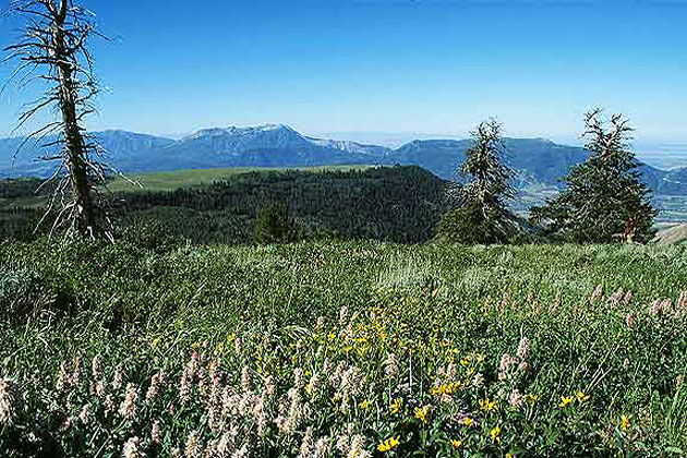 Snowbasin in Summer