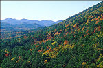 Autumn in the Ouachita Mountains