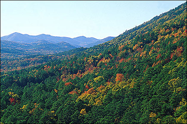 Autumn in the Ouachita Mountains