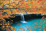 Falling Water Falls in the Arkansas Ozarks