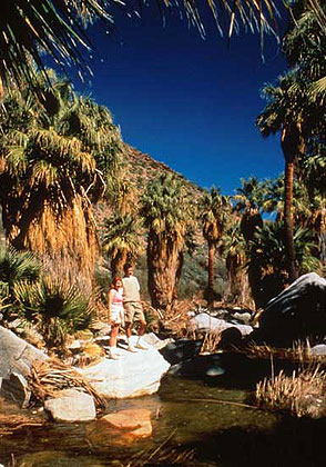 Desert Stream