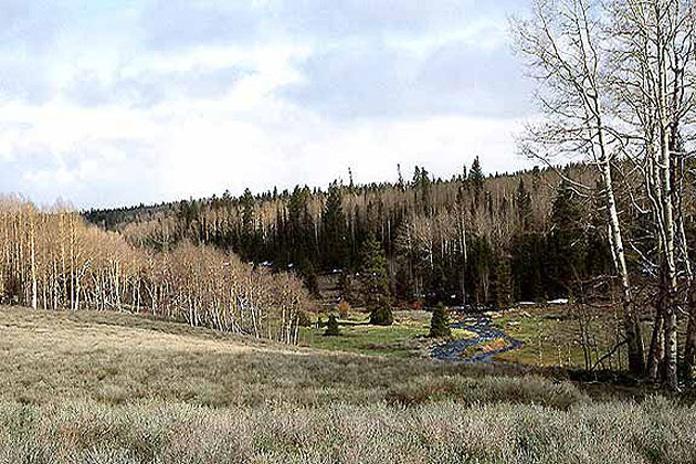 Panguitch Stream