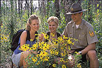 Petit Jean State Park, Morrilton