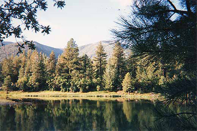 Pine Valley Reservoir