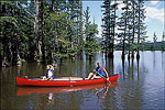 Canoeing the Little Maumelle River at Pinnacle Mountain State Park 