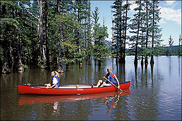 Canoeing the Little Maumelle River at Pinnacle Mountain State Park