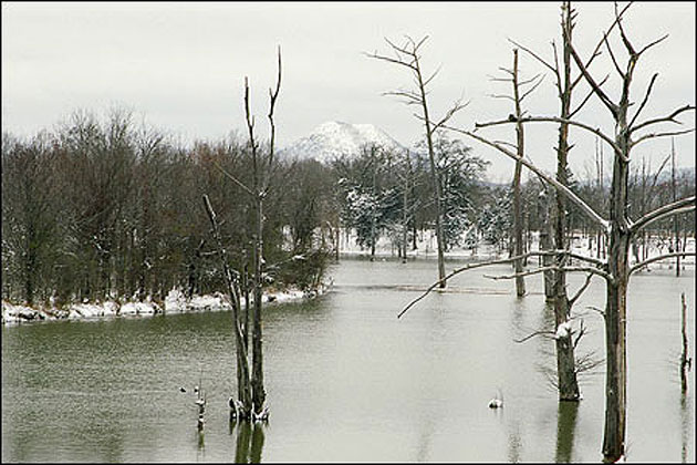 Pinnacle Mountain State Park