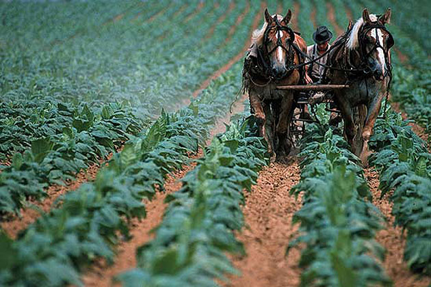 Plowing