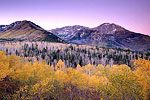 The Alpine Loop