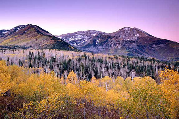 The Alpine Loop