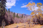 Mount Nebo Wilderness