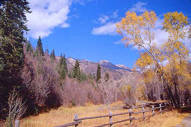 Mount Nebo Wilderness