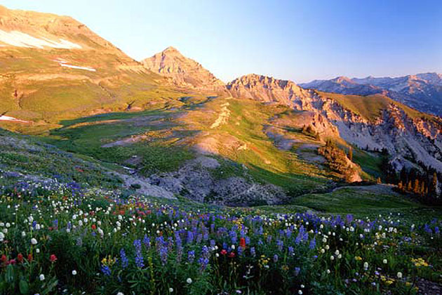 Mt. Timpanogos