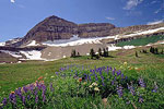 Mt. Timpanogos