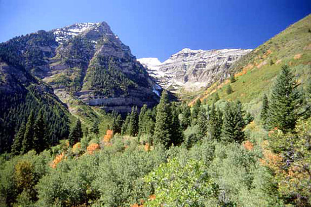 Mt. Timpanogos