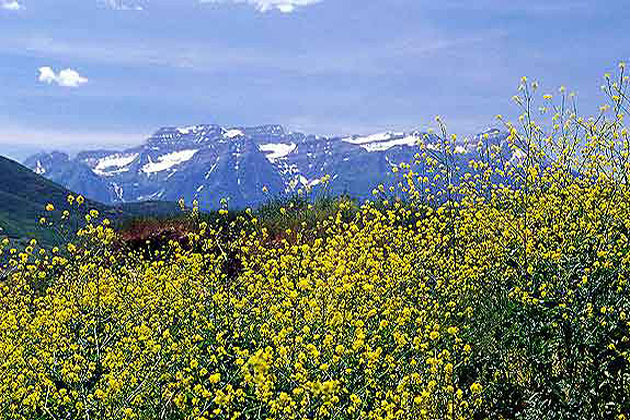 Mt Timpanogos