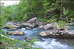 Richland Creek