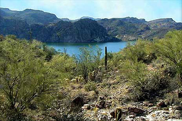 Saguaro Lake