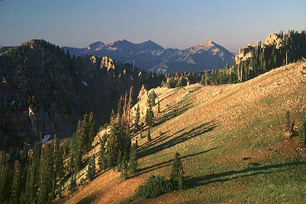 Wasatch Mountains