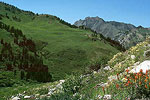 Little Cottonwood Canyon