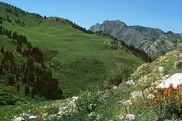 Little Cottonwood Canyon