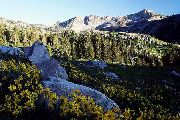 Albion Basin