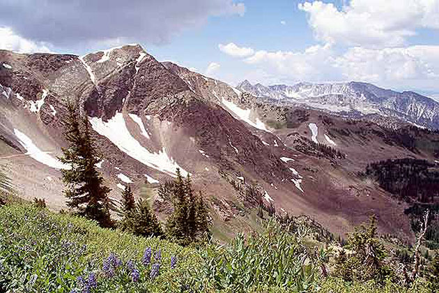 Snowbird Resort