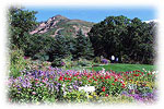 Red Butte Arboretum