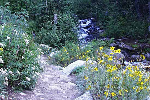 Red Pine Lake Trail