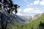 Red Pine Lake Trail