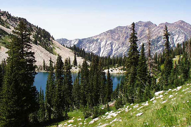 Red Pine Lake Trail