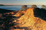 La Jolla Cove