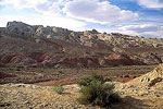 Desert Landscape